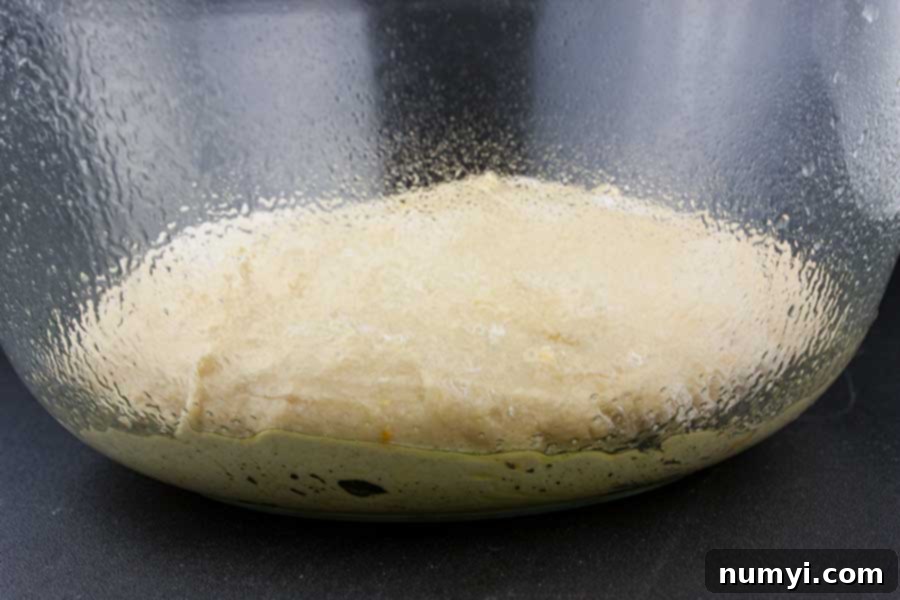 Simple Italian Christmas Panettone 9 Panettone dough placed in a large, oiled glass bowl for its first rise.