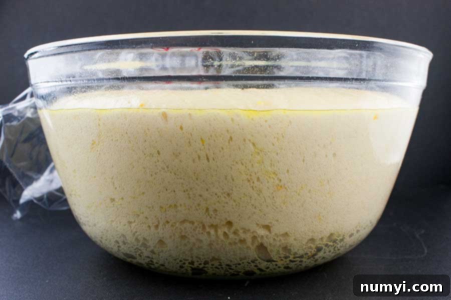 Simple Italian Christmas Panettone 10 Significantly risen panettone dough filling a large glass bowl, showing successful fermentation.