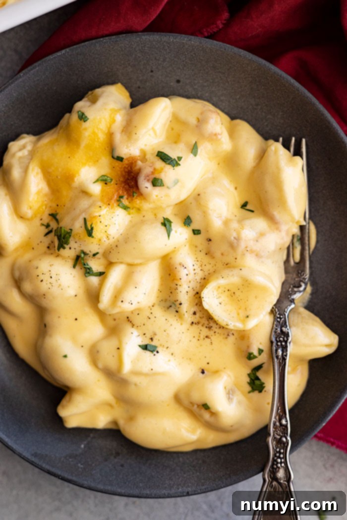 Overhead view of a plate of deliciously indulgent creamy baked mac and cheese, garnished with fresh herbs.