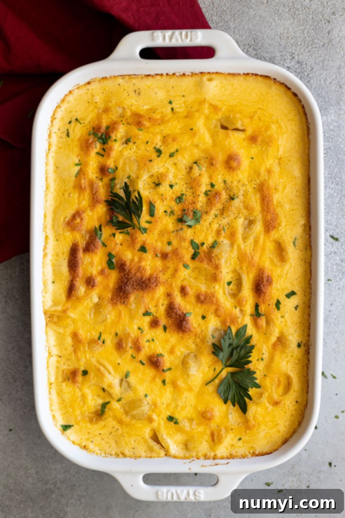 Overhead view of an entire pan of baked mac and cheese, fresh from the oven, garnished with fresh parsley and black pepper, ready to serve.