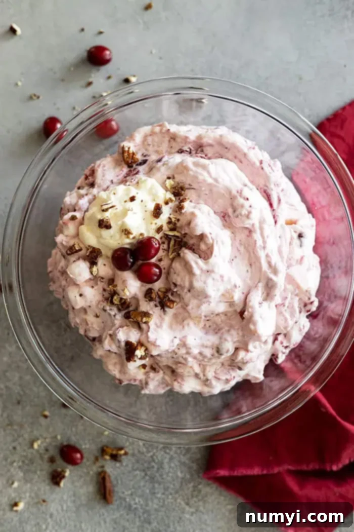 overhead: my cranberry fluff recipe in a bowl garnished with fresh cranberries and pecans with red napkin off to the side