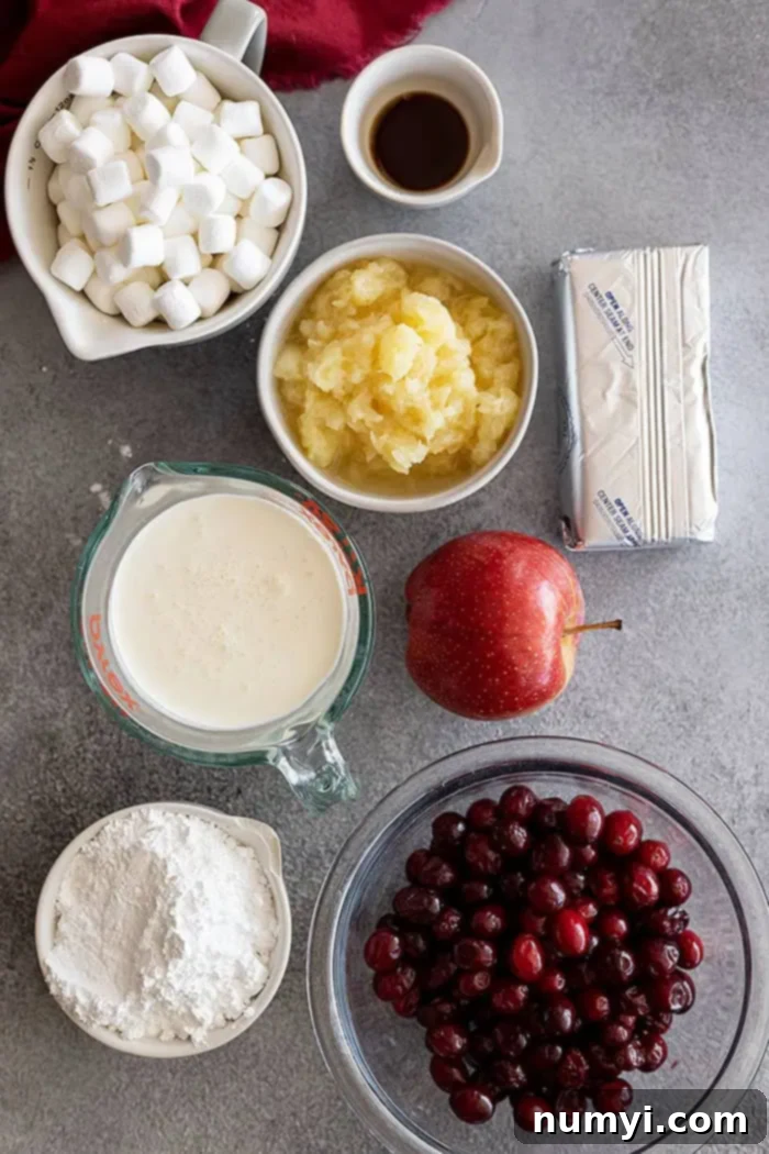 overhead: ingredients needed for cranberry fluff salad