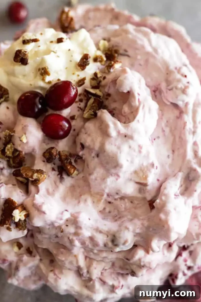 extreme closeup: cranberry marshmallow fluff salad with a creamy cream cheese mixture and chopped nuts