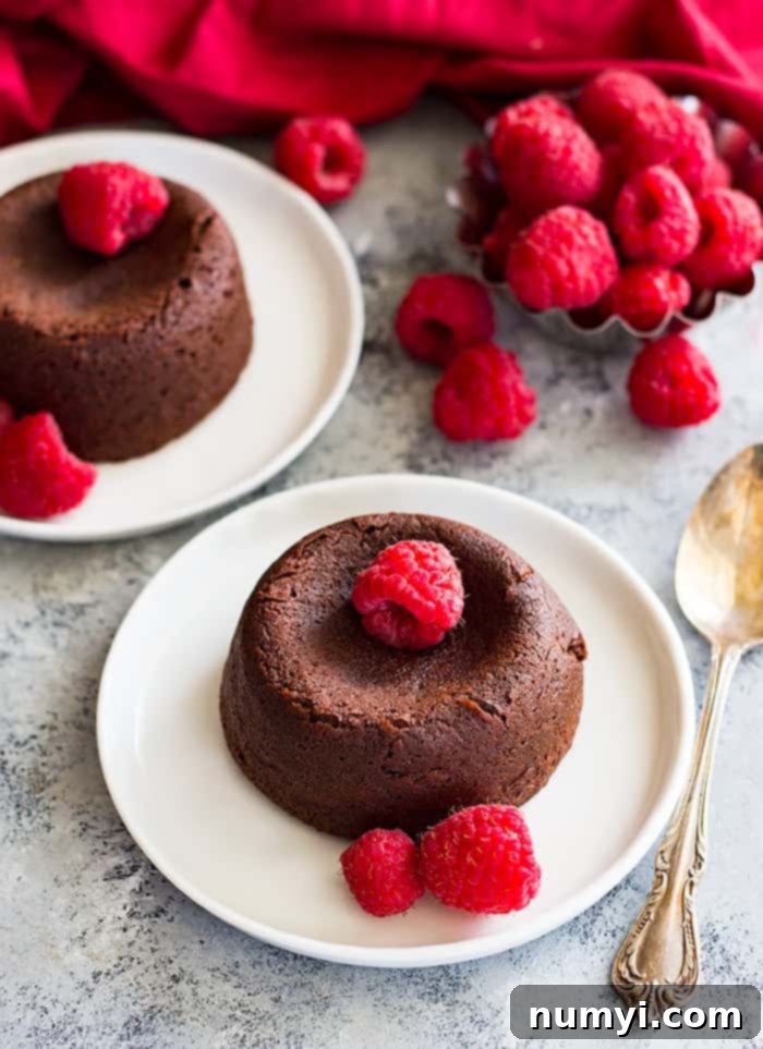 Chocolate Molten Lava Cake sprinkled with raspberries. 