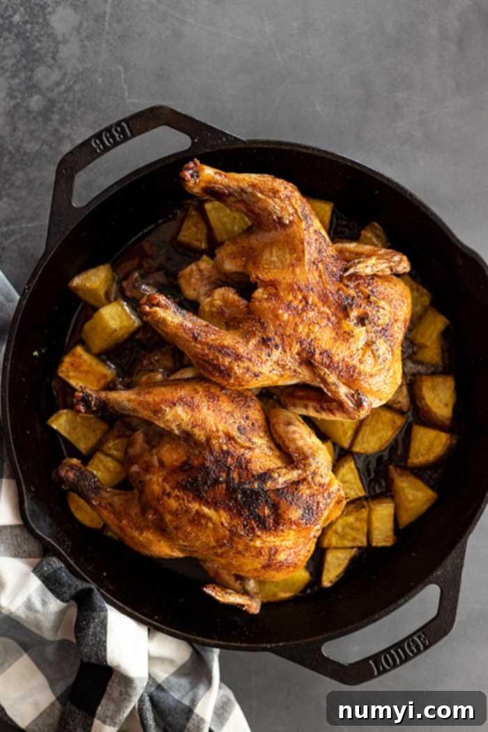 Overhead view of two perfectly roasted cornish hens over golden-brown potatoes in a cast iron skillet, ready to serve.
