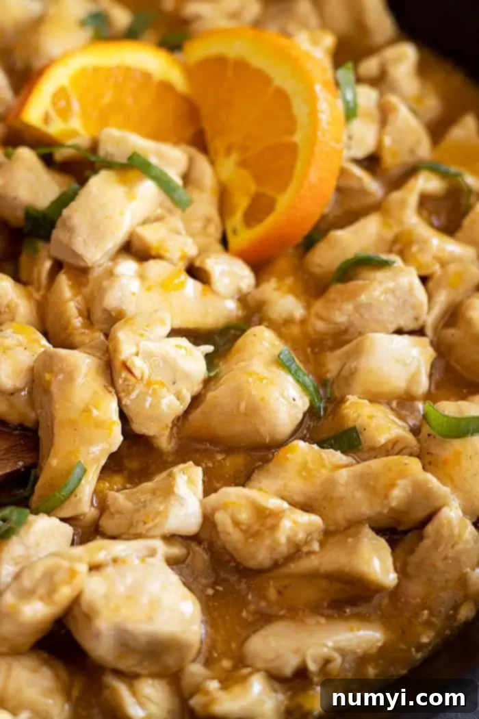 extreme closeup: simple orange chicken recipe with chicken and orange slices showing