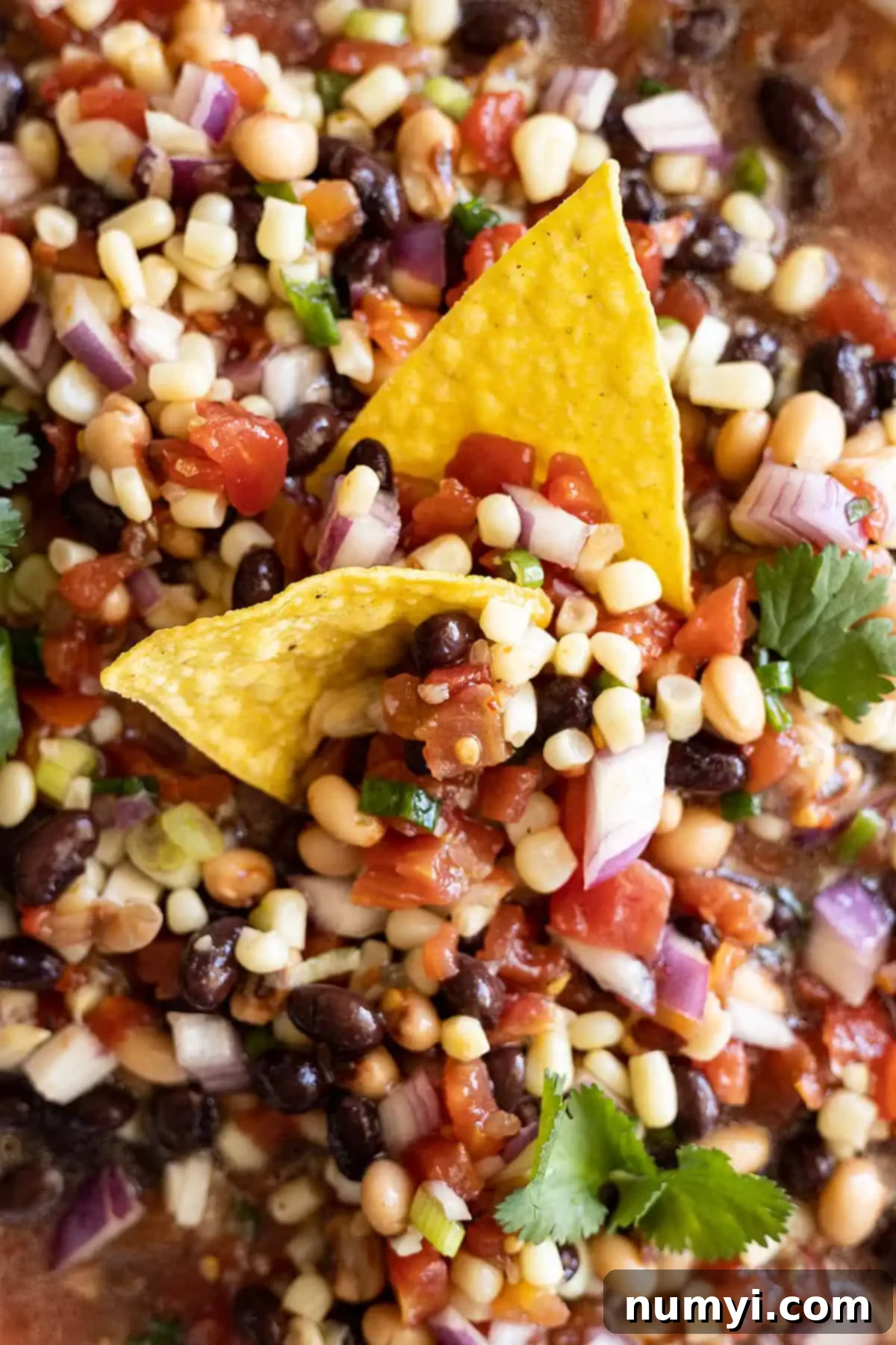 Close-up shot of the very colorful Cowboy Caviar dip, showcasing all the fresh ingredients.