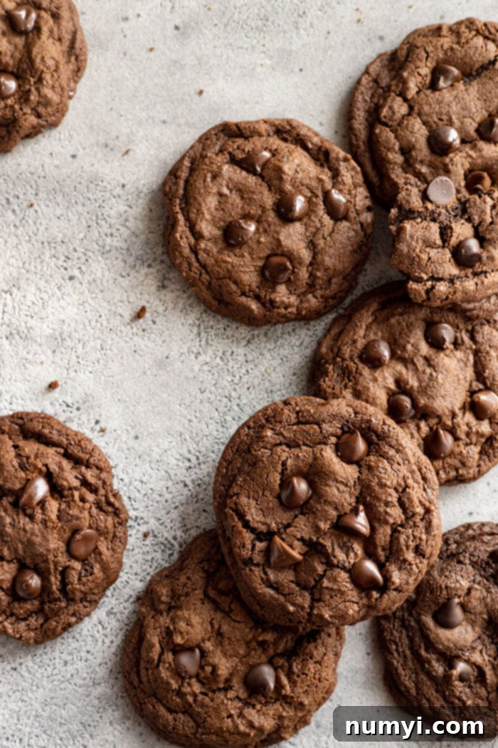 A beautiful arrangement of freshly baked double chocolate chip cookies, stacked and scattered, highlighting their rich color and inviting texture.