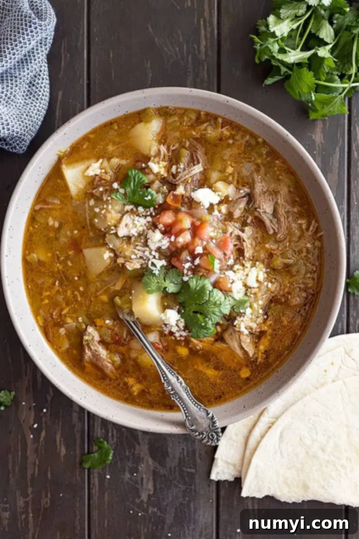 A comforting bowl of green chile stew, generously garnished with fresh cilantro, vibrant pico de gallo, and crumbled cheese, ready to be enjoyed.
