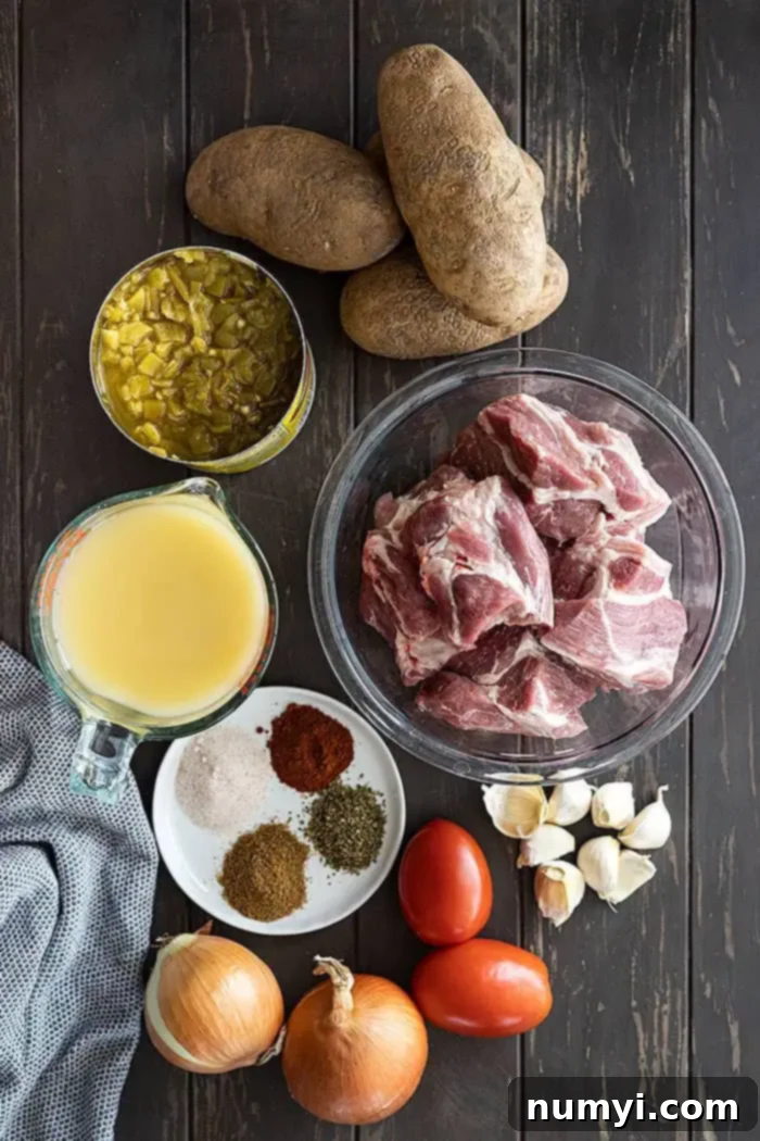 An overhead view showcasing all the fresh and canned ingredients meticulously laid out for preparing a delicious green chile pork stew, emphasizing easy accessibility.