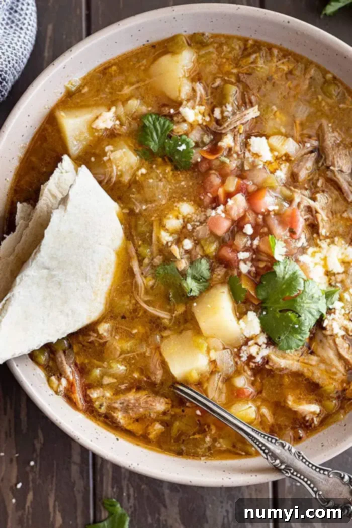 An overhead close-up shot of a steaming bowl of slow cooker green chili stew, accompanied by a folded tortilla and a spoon, emphasizing its hearty and comforting appeal.