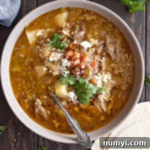 Overhead view of stew in a bowl garnished with cilantro, pico de gallo, and cheese.