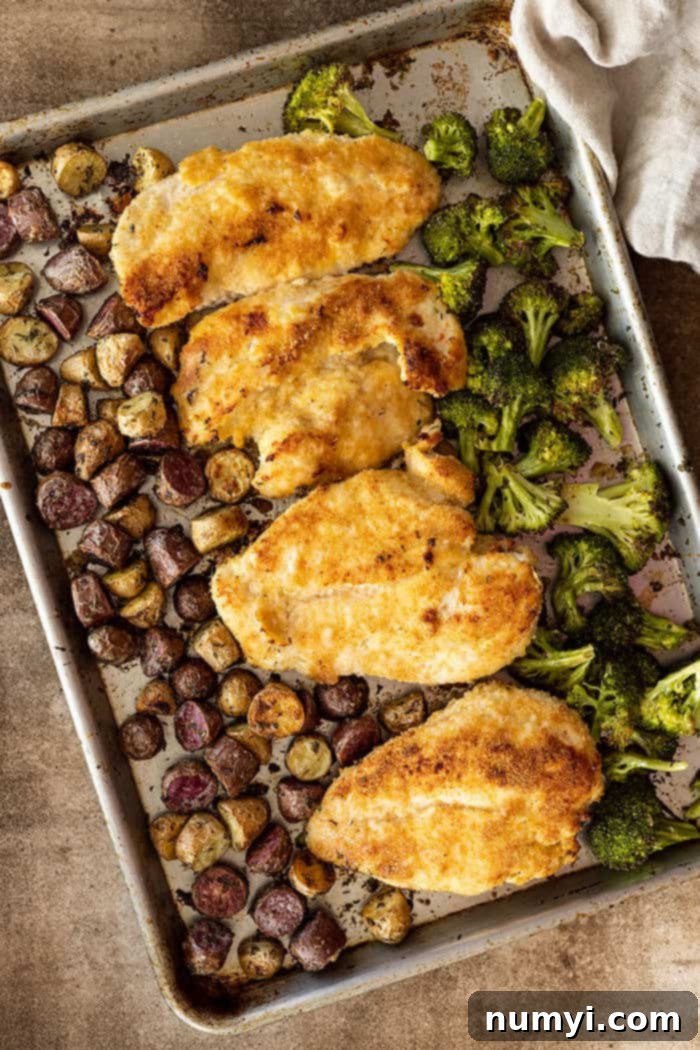 Overhead shot of golden brown baked parmesan chicken with roasted potatoes and broccoli on a sheet pan, ready to serve.