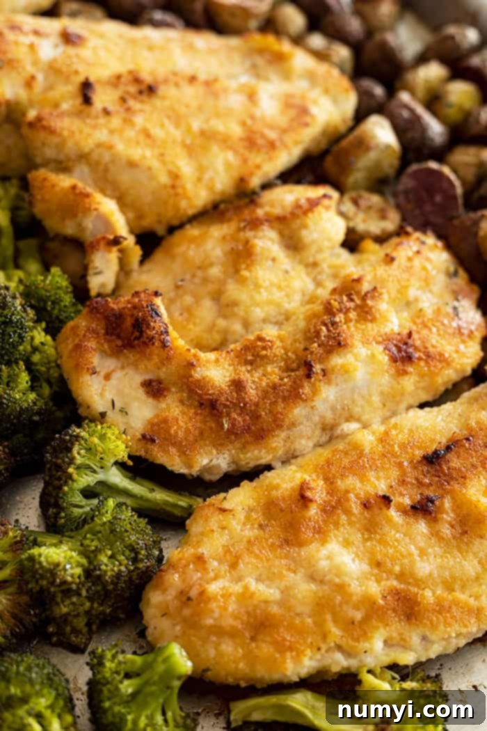Closeup shot of golden brown sheet pan parmesan chicken and roasted vegetables served on a white plate with a fork and knife.