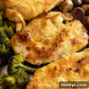 Close up of the chicken on the sheet pan fresh from the oven. Shows the browning on the chicken.