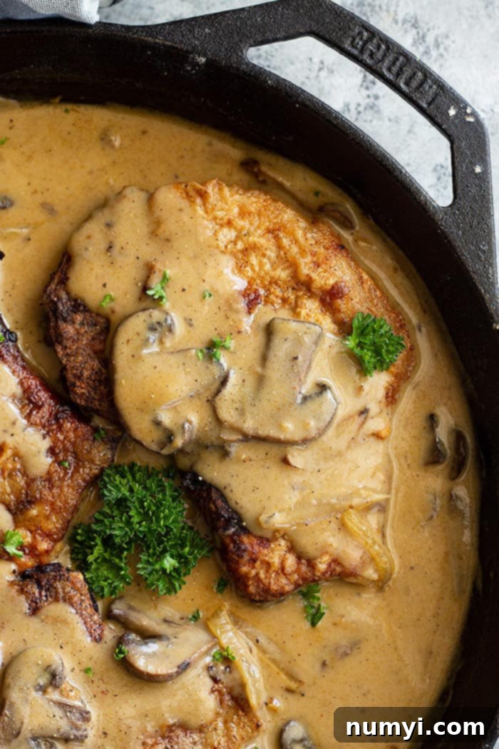 Top down view of pork chops in mushroom gravy in cast iron skillet.