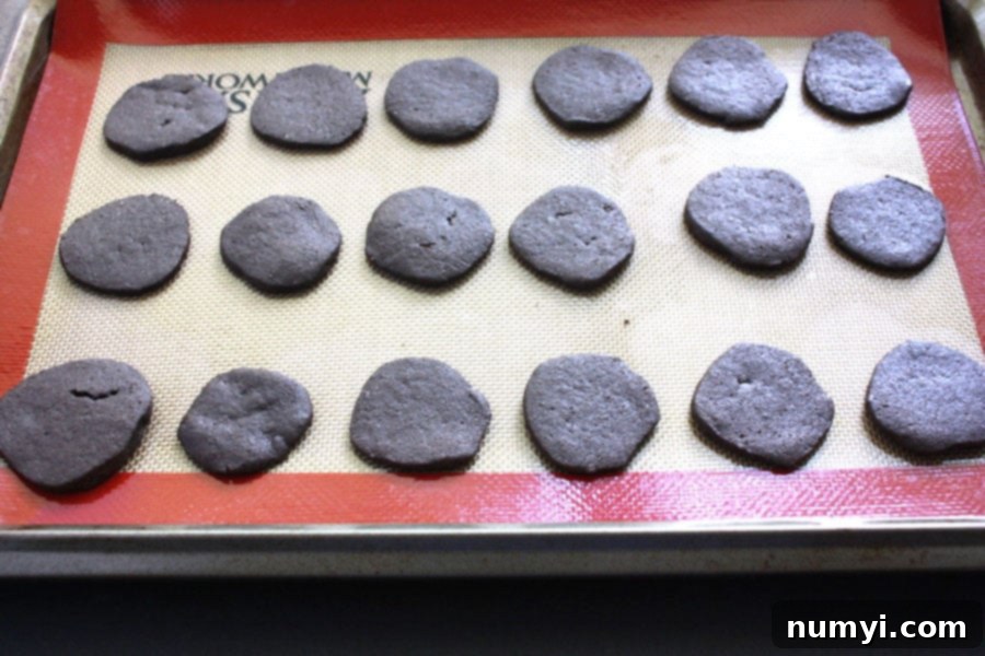 Baked cookies on a baking sheet.
