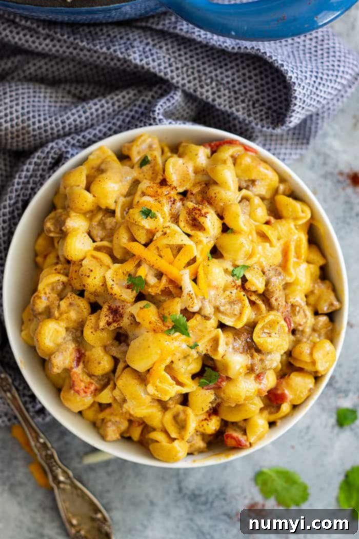 Chile Con Queso Mac and Cheese -an easy one pot meal that's filled with beef, pasta, and cheese! It only takes 30 minutes to make so it's a perfect weeknight meal!