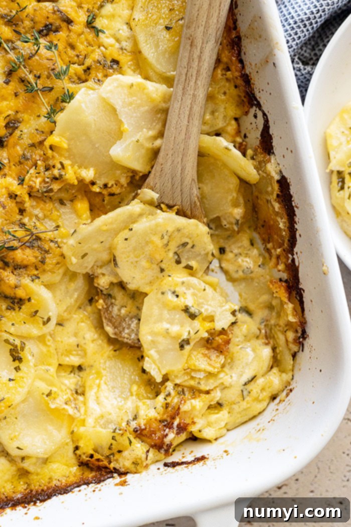 Overhead view of garlic herb potatoes au gratin with a spoon scooping out a serving, clearly showing the creamy layers and melted cheese.