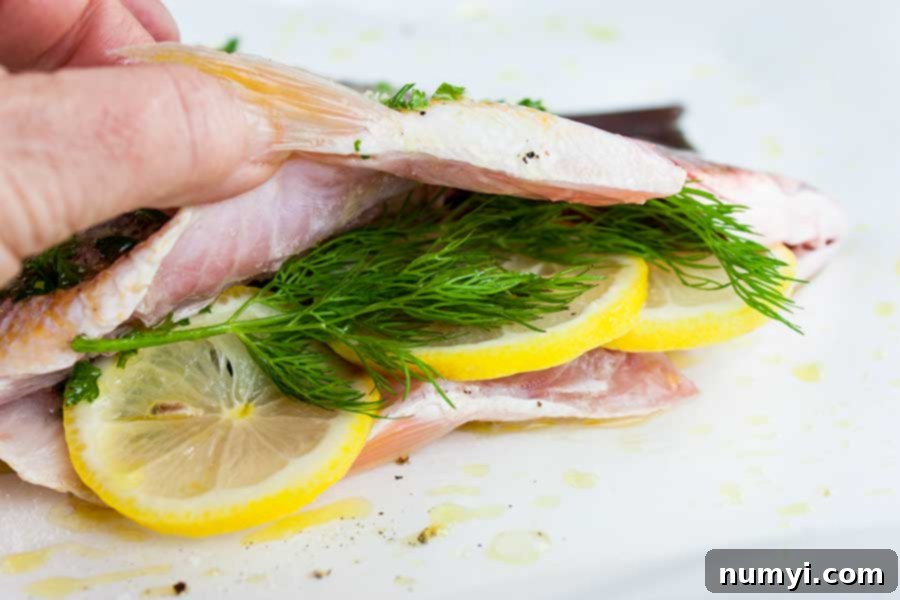 closeup of herbs and lemons slices stuffed into the cavity of a red snapper