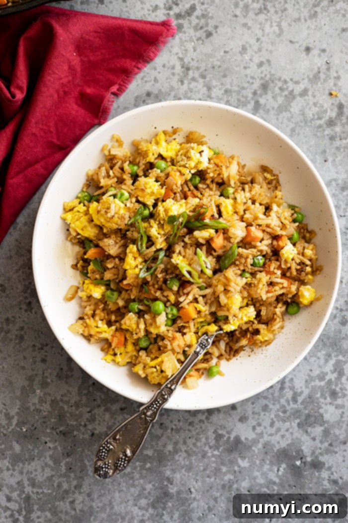 Overhead view of fried rice in a bowl garnished with green onion.