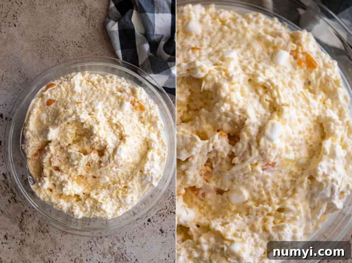 Golden Ambrosia Salad 5 Two pictures- one a close up of the salad and the other an overhead view of it in a bowl.