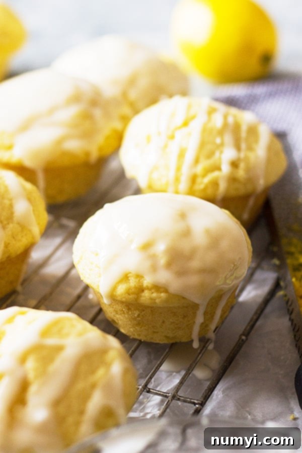 Three golden brown lemon muffins on a white plate, showcasing their perfect dome tops and glossy lemon glaze, ready to be enjoyed.