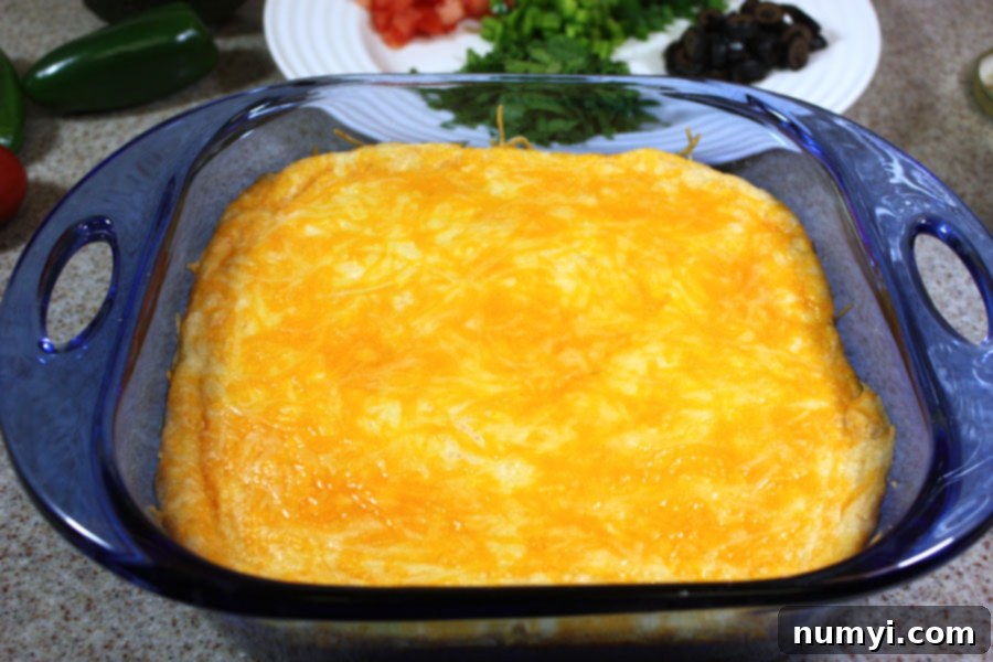 Melted sharp cheddar cheese forming a bubbly, golden top layer over the black bean dip.