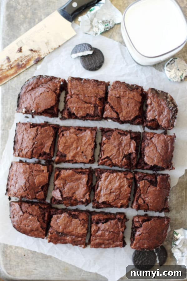 Creamy Peppermint Fudge Brownies 2 Perfectly cut squares of fudgy Peppermint Patty Brownies on parchment paper, showcasing their rich chocolate color and inviting texture.