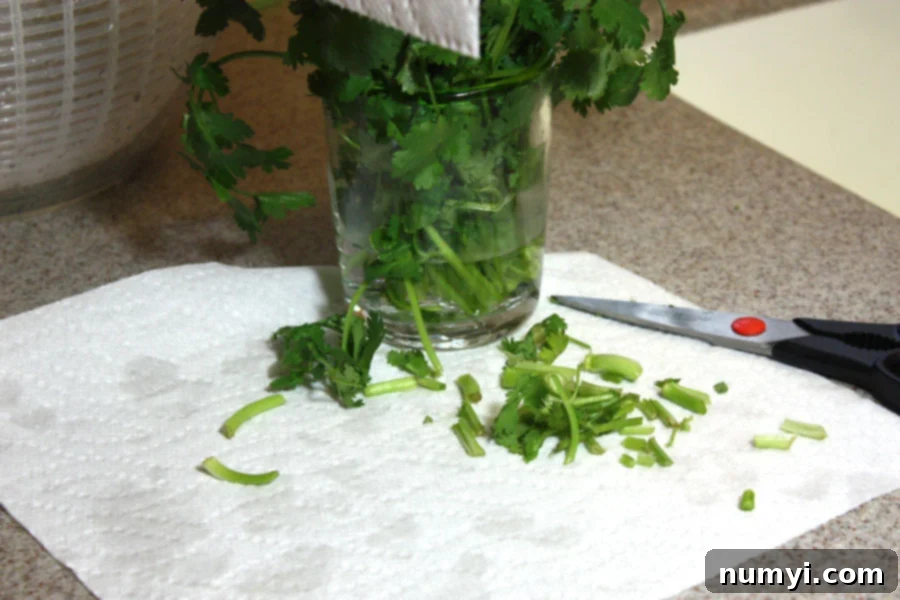 fresh parsley in a glass with water