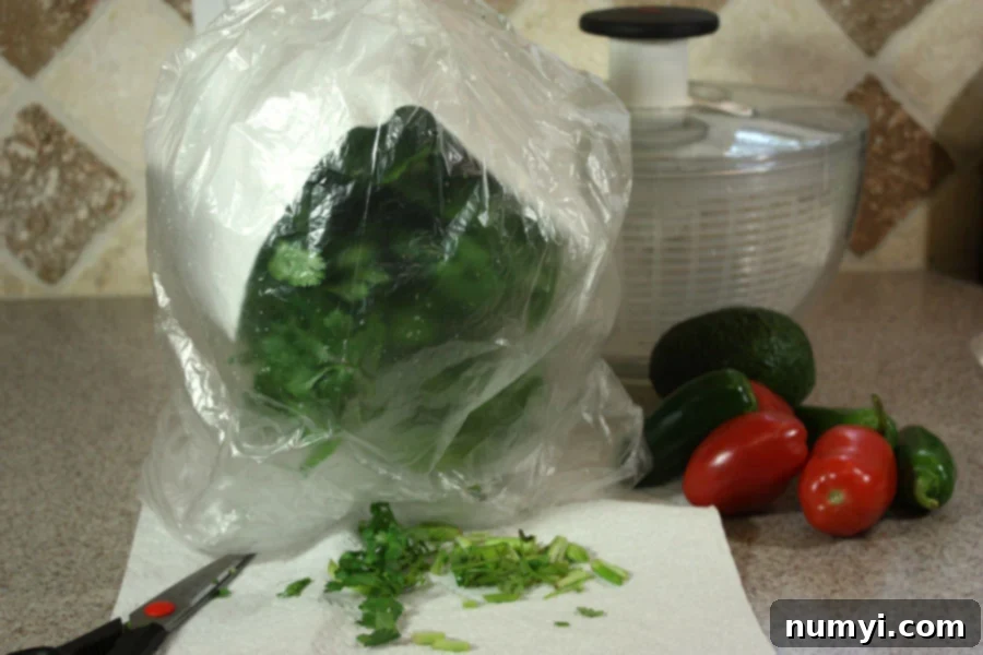 fresh cilantroi n a glass with water draped with a paper towel then covered in a plastic bag 