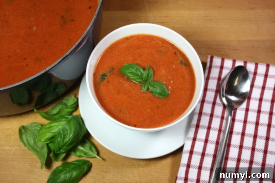 Effortless Creamy Tomato Basil Soup 5 Creamy tomato basil soup in a white bowl garnished with fresh basil.
