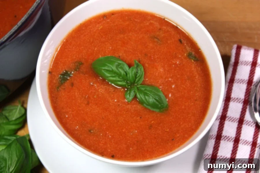 Effortless Creamy Tomato Basil Soup 6 A bowl of tomato basil soup in a white bowl.