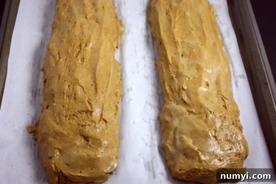 pumpkin biscotti dough formed on parchment paper