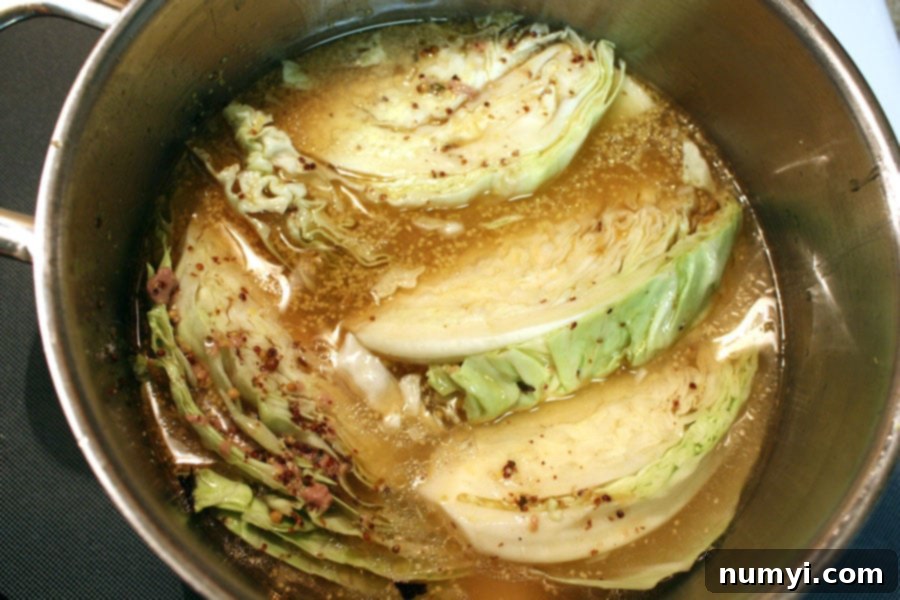 Cabbage and potatoes cooking in a pot, absorbing the rich flavors.