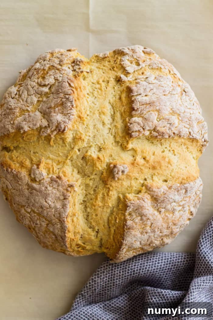 An aerial view of a beautifully baked, round loaf of Traditional Irish Soda Bread, showcasing its golden-brown crust.