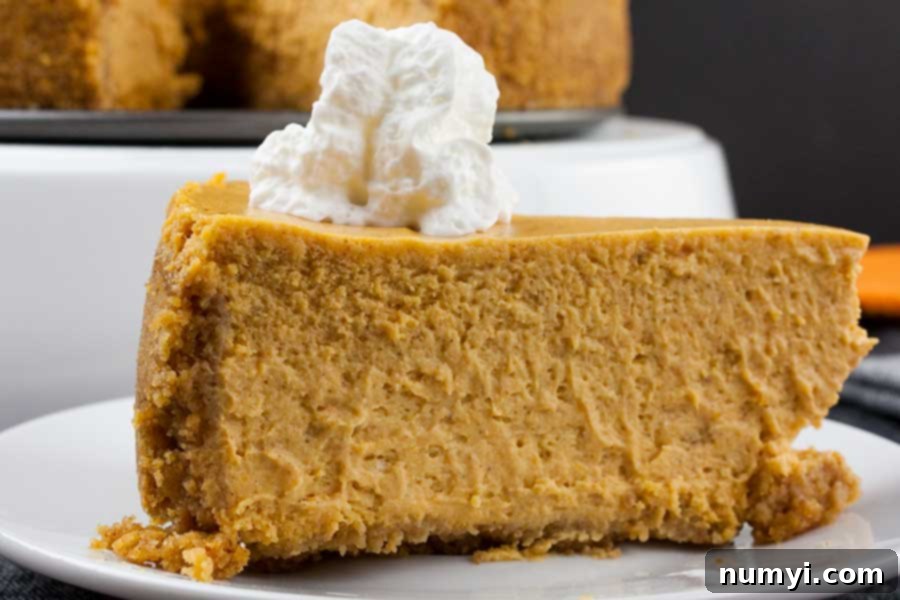 Slice of pumpkin cheesecake topped with whipped cream on a white plate.
