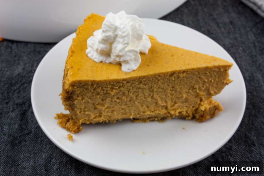 Slice of pumpkin cheesecake topped with whipped cream on a white plate.