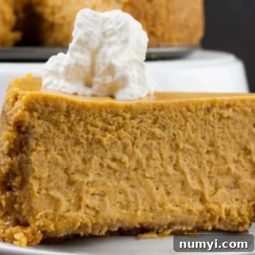 Slice of pumpkin cheesecake garnished with whipped cream on a white plate.