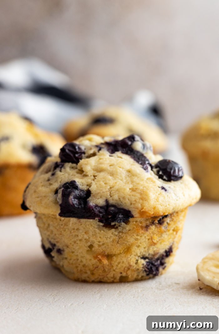 Close up of 1 blueberry muffin with several muffins in the background.