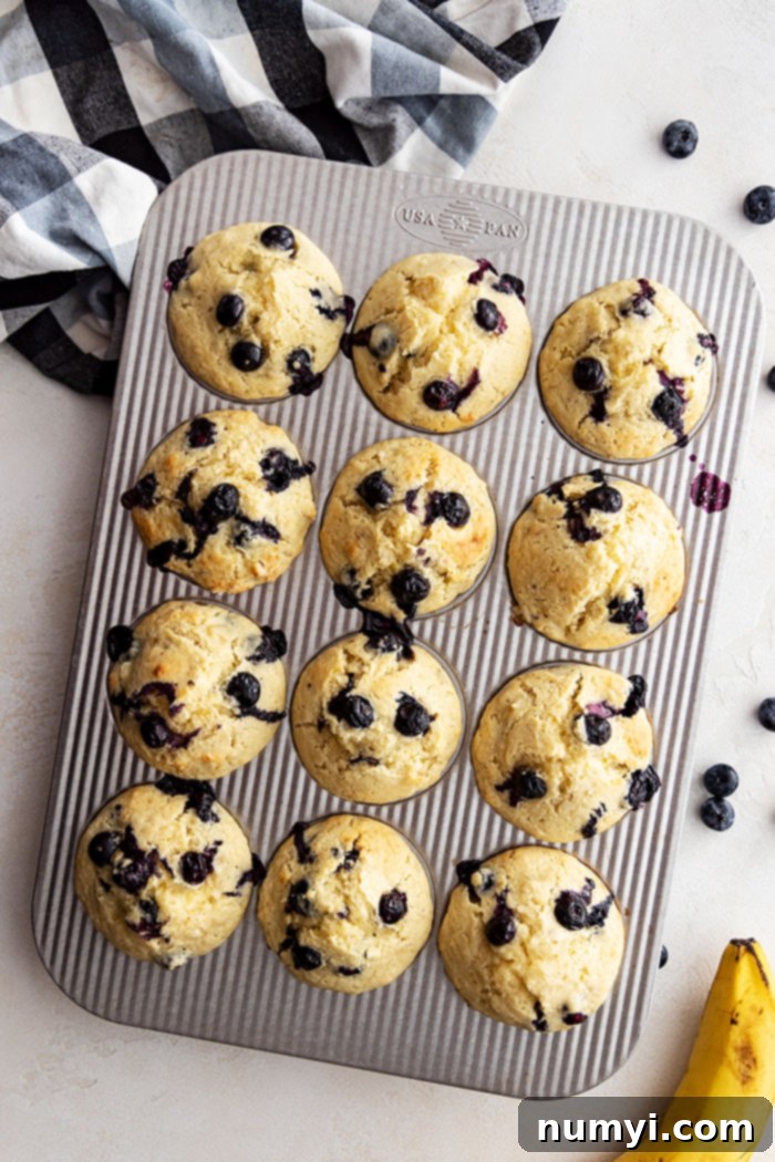 Overhead view of blueberry banana muffins fresh from the oven. Blueberries scattered off to the side.
