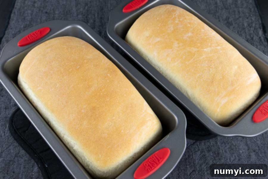 Two golden-brown loaves of freshly baked easy white bread.