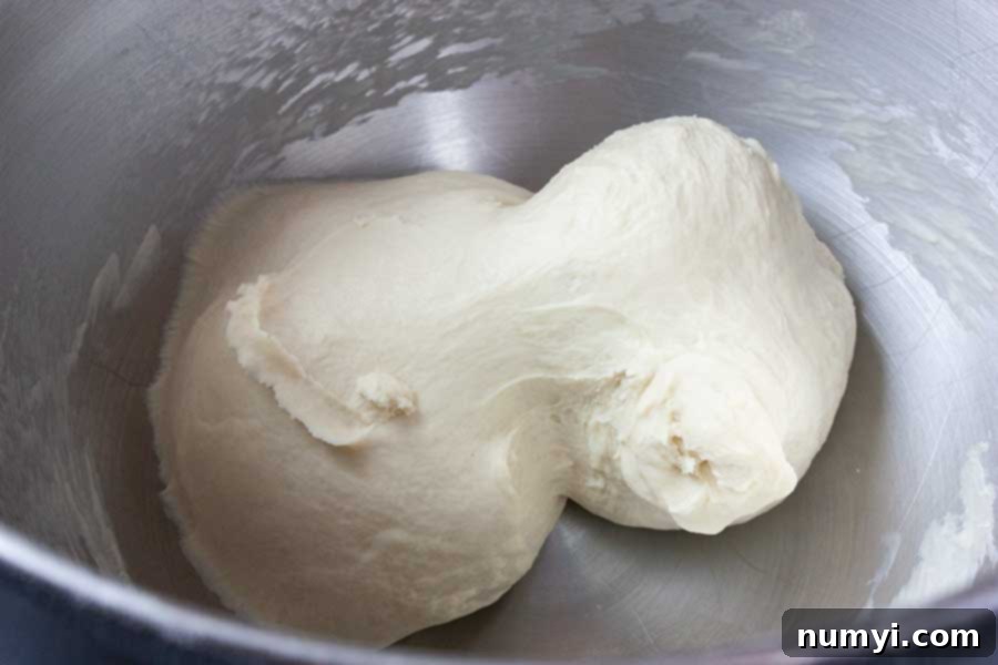 Smooth, elastic bread dough in a stand mixer bowl after kneading.