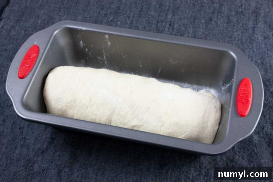 Unbaked bread dough placed in a 9x5 inch baking pan, ready for its second rise.