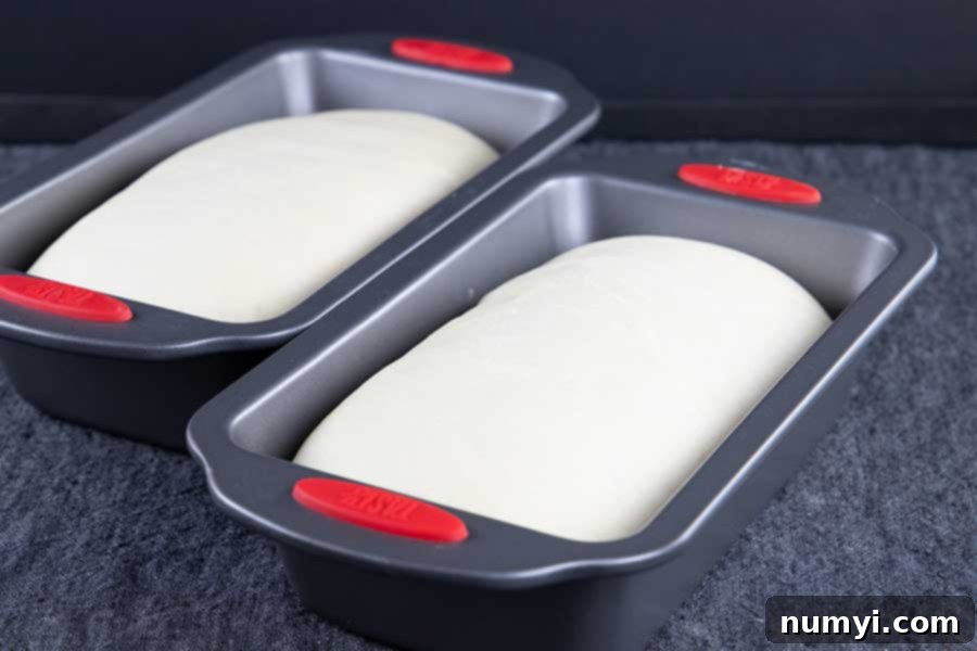 Risen dough in two baking pans, indicating the possibility of doubling the recipe.