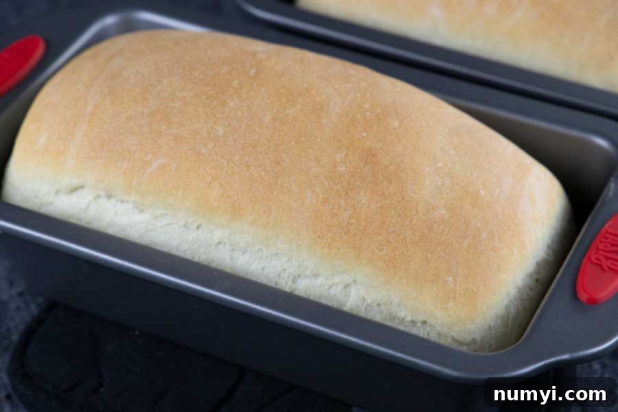 Freshly baked golden-brown bread on a wire rack.