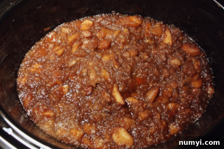 Cooked chunky Apple Butter in the crock of a slow cooker.