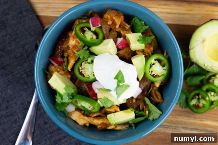 A blue bowl of chicken fajita stew, artfully topped with fresh jalapeños, creamy avocado, vibrant cilantro, and crisp chopped radish.