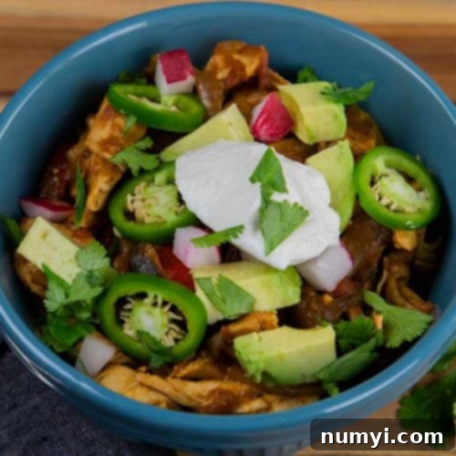 A blue bowl of chicken fajita stew, ready to be served.