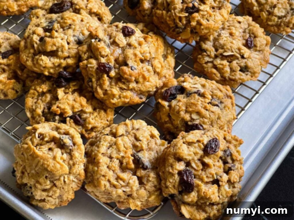 Baked old fashioned oatmeal raisin cookies on a wire cooling rack, showcasing their perfectly golden-brown finish.